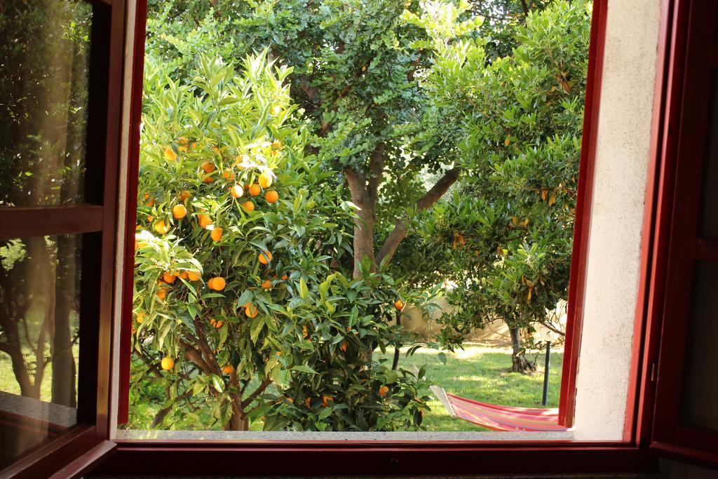 Torpè B&B I Mari المظهر الخارجي الصورة