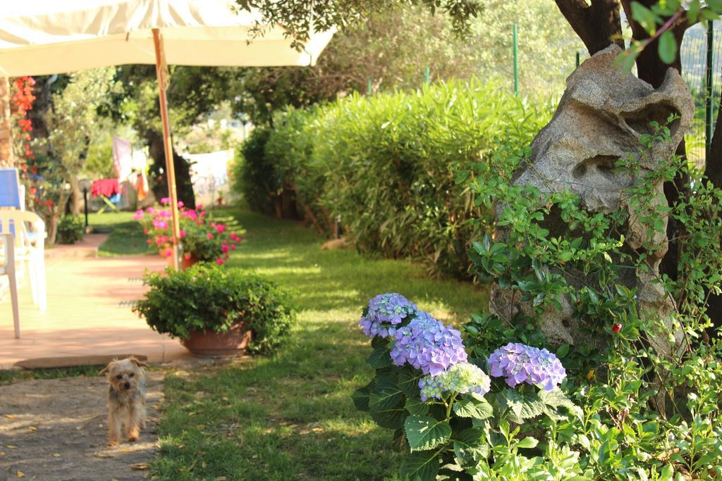 Torpè B&B I Mari المظهر الخارجي الصورة