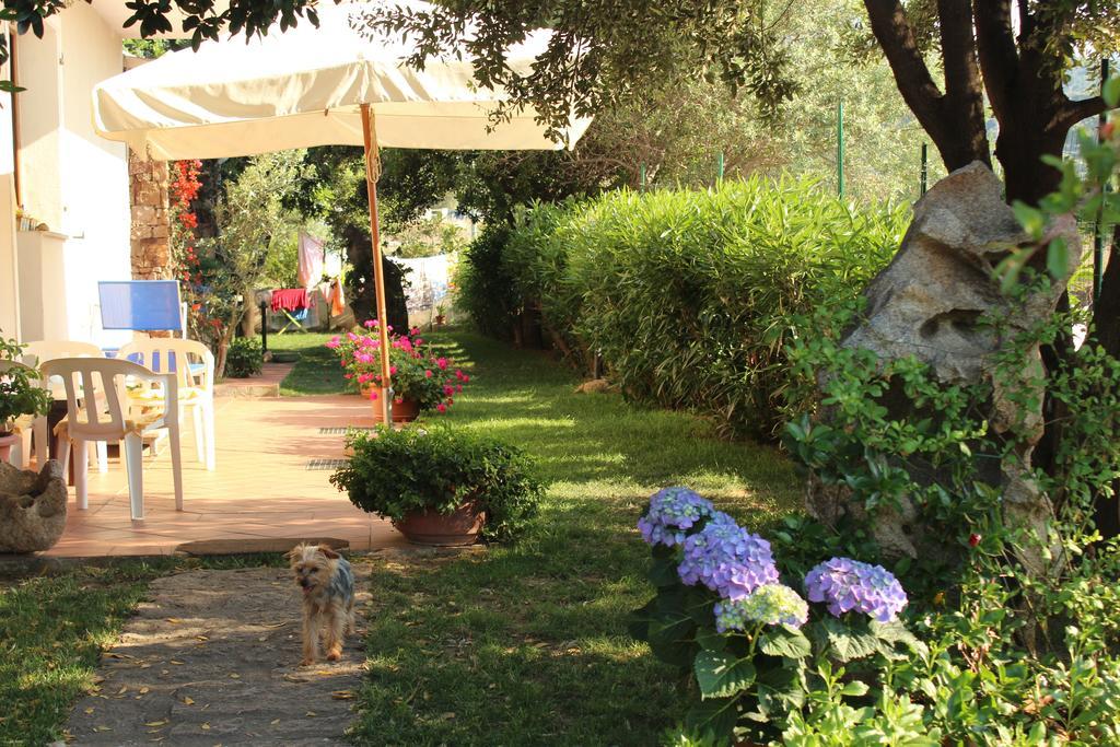 Torpè B&B I Mari المظهر الخارجي الصورة